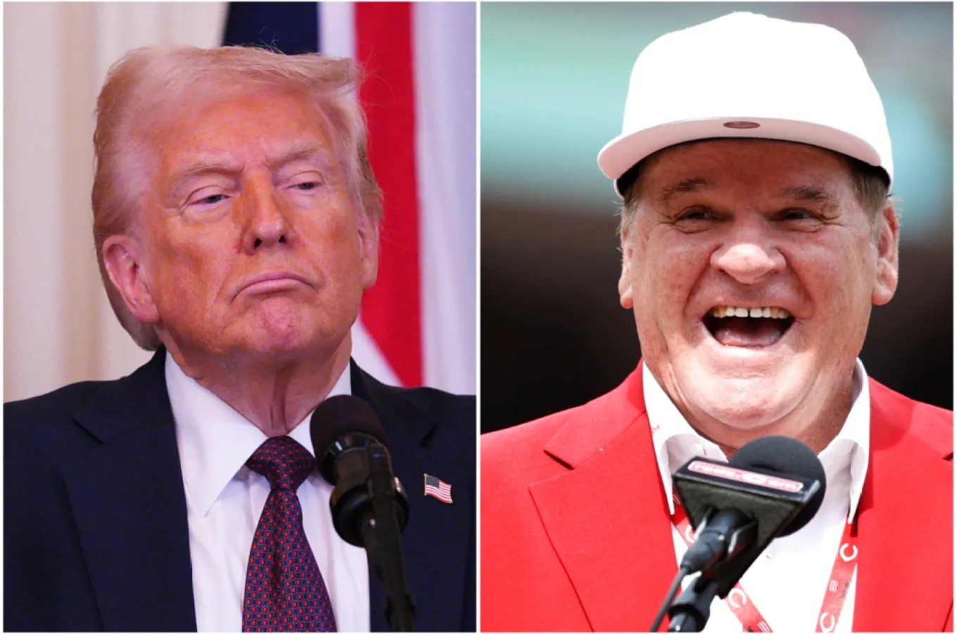 Pete Rose Donald Trump